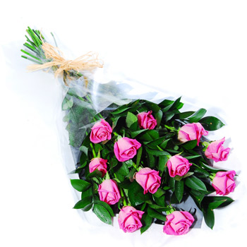 Доставка цветов: 13 роз. Букет № К-560