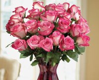 Доставка цветов: Букет из 23 роз  № К-951