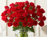 Доставка цветов: Букет из 55 роз № К-952